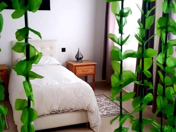 Aparthotel Sara House Nador Exteriér fotografie